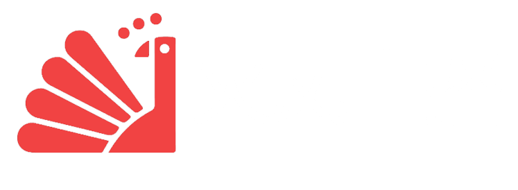 火凤直播
